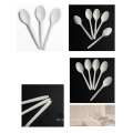 Biodegradable white spoon 4.5"  in USA/European Market